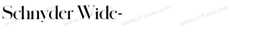 Schnyder Wide字体转换